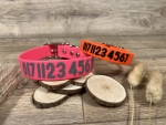 Hundehalsband Basic mit Personalisierung